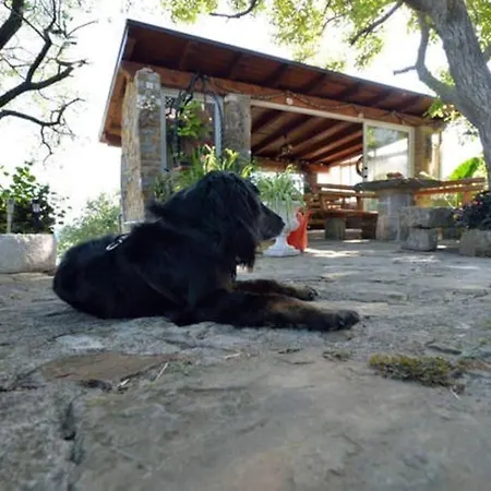 Holiday home Baredi, Izola, Slovenia