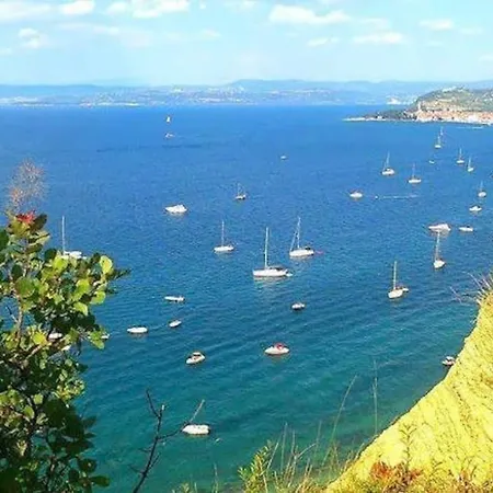 Baredi, Izola, Slovenia