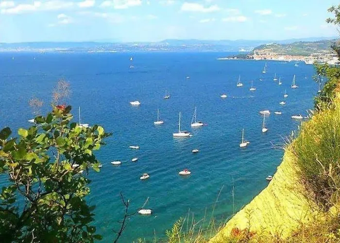 Baredi, Izola, Slovenia